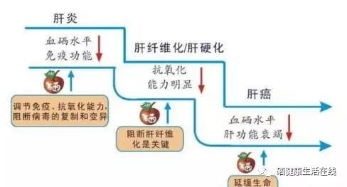 补硒不得眼病吗（硒与眼?。?硒宝网