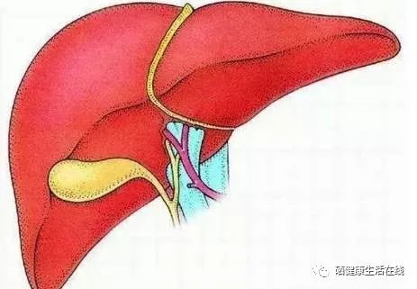 补硒不得眼病吗（硒与眼?。?硒宝网