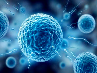 亚健康补硒症状（补充硒是什么）-硒宝网