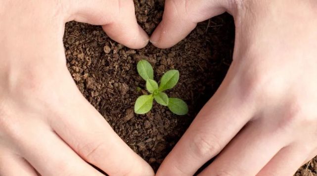 高血糖病人补硒（硒对血糖高的作用）-硒宝网