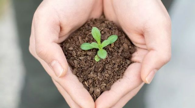 高血糖病人补硒（硒对血糖高的作用）-硒宝网