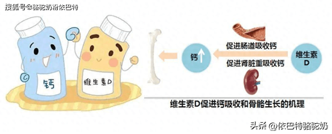 喝龙牡壮骨颗粒还需要补钙吗（龙牡壮骨颗粒要配合钙片吃吗）-硒宝网