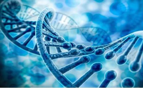 补硒和胆道炎症（硒对胆囊炎的作用）-硒宝网