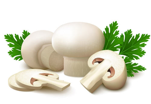 补硒的食物口蘑(补食物口蘑硒含量多少)-硒宝网