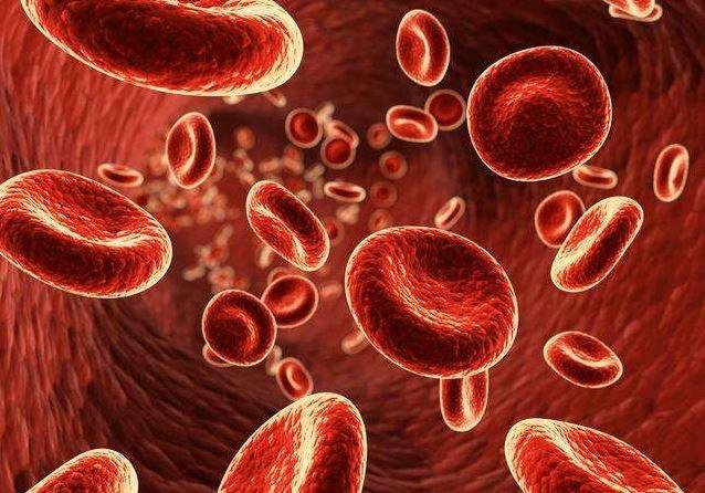 补铁有什么用(补铁剂有用吗)-硒宝网