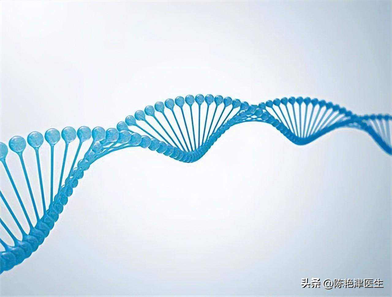 缺硒怎么补最好（缺少硒吃什么补）-硒宝网