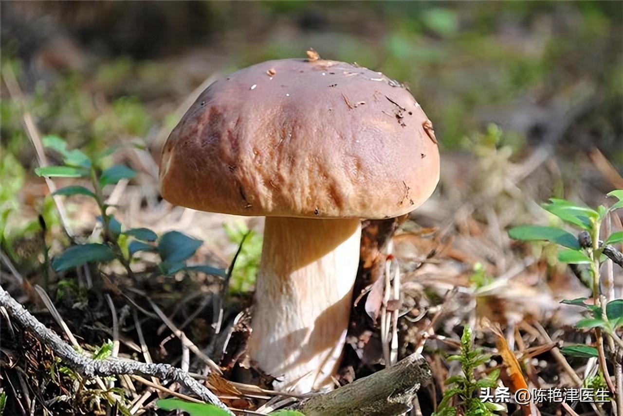 缺硒怎么补最好（缺少硒吃什么补）-硒宝网