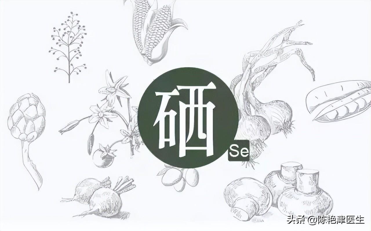 缺硒怎么补最好（缺少硒吃什么补）-硒宝网