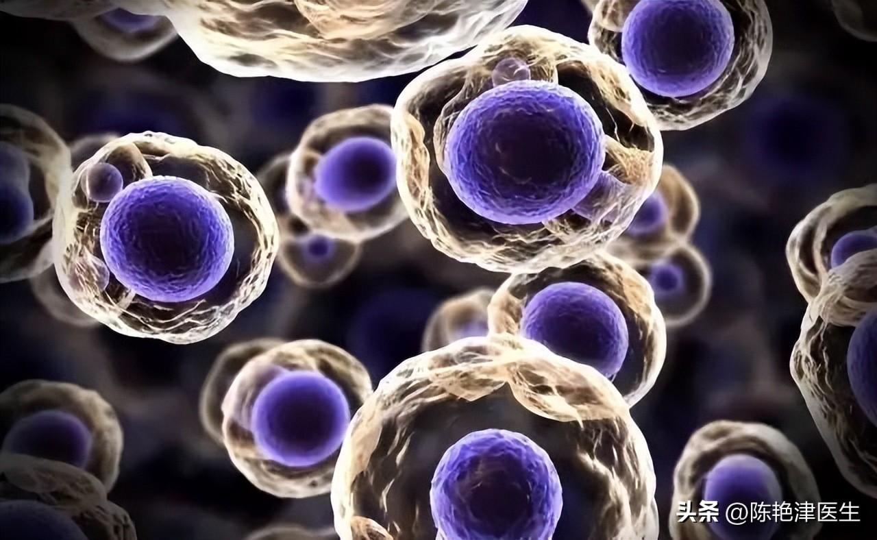 缺硒怎么补最好（缺少硒吃什么补）-硒宝网