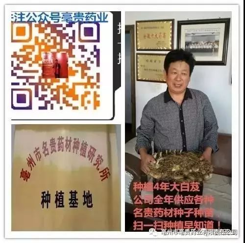 成年男人补硒药(成年药补男人硒片有用吗)-硒宝网