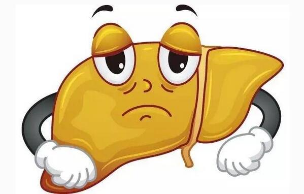 有补硒护肝片吗(养肝护肝补硒买啥药)-硒宝网