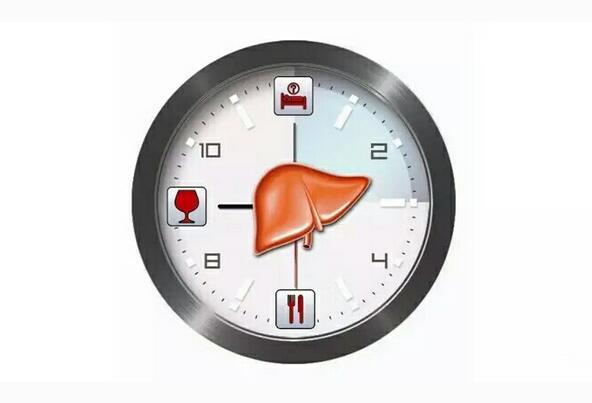 有补硒护肝片吗(养肝护肝补硒买啥药)-硒宝网