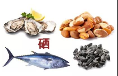 补硒早晚营养餐(早晚餐营养补硒方法)-硒宝网