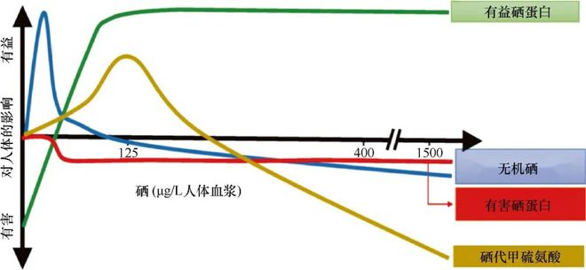 自己做孕期补硒（孕妇补硒对宝宝不好吗）-硒宝网
