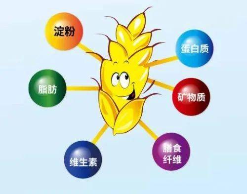 龙眼可以补硒吗（富硒龙眼）-硒宝网