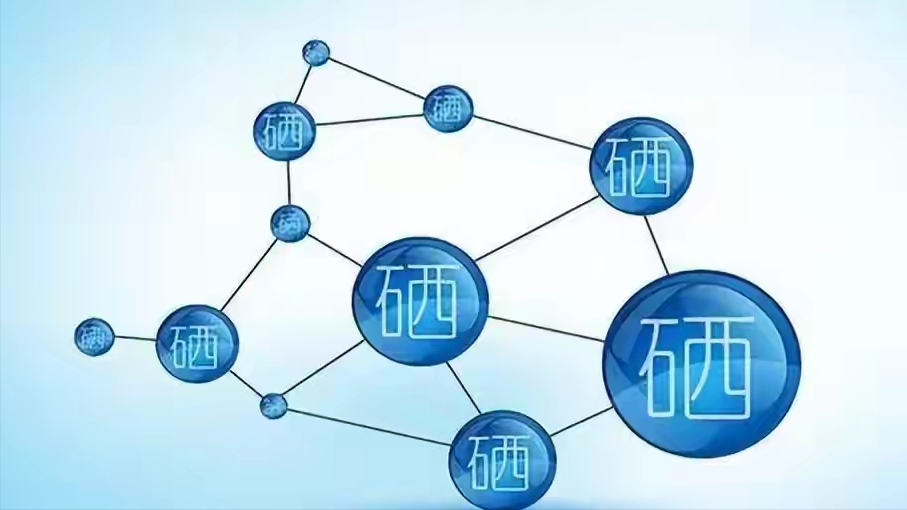 补硒的食物哪些（补充硒食物）-硒宝网