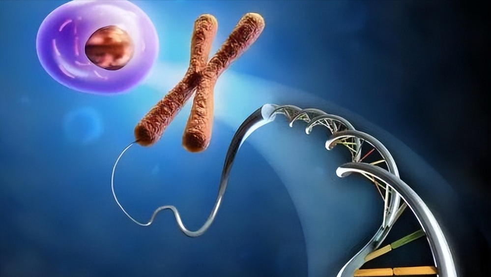 补硒的食物哪些（补充硒食物）-硒宝网