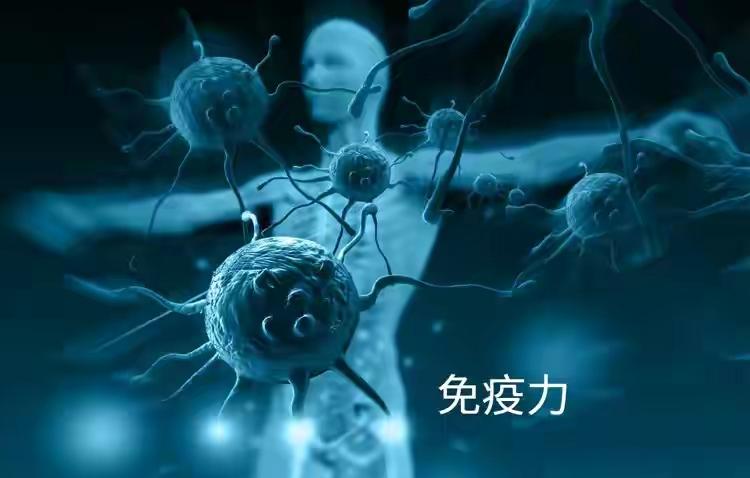 补硒的食物哪些（补充硒食物）-硒宝网