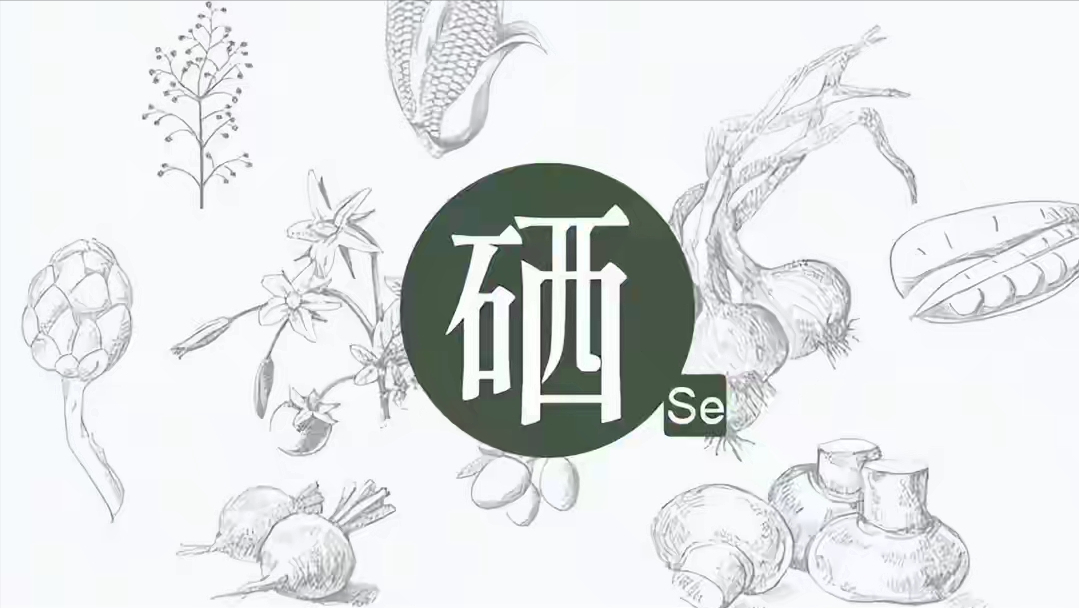 补硒的食物哪些（补充硒食物）-硒宝网