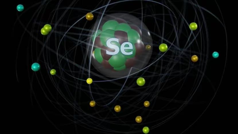 补硒的食物哪些（补充硒食物）-硒宝网
