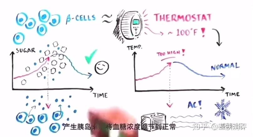 补硒有哪些好处(补硒的重要性)-硒宝网