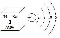 什么补硒最好用(硒要补多久才有效)-硒宝网