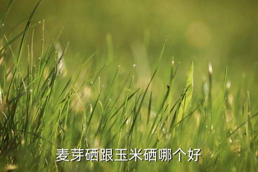 补硒那个牌子好（最好的补硒产品排名）-硒宝网