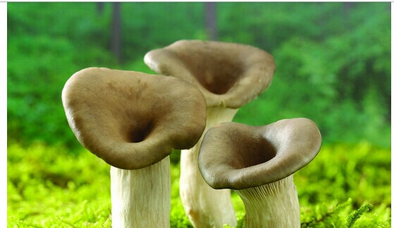 缺硒补什么症状（缺硒应该补什么）-硒宝网