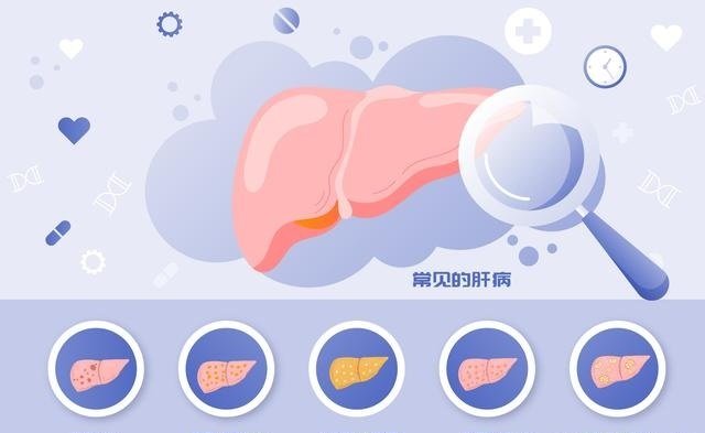 有补硒护肝片吗(补片护肝硒有副作用吗)-硒宝网