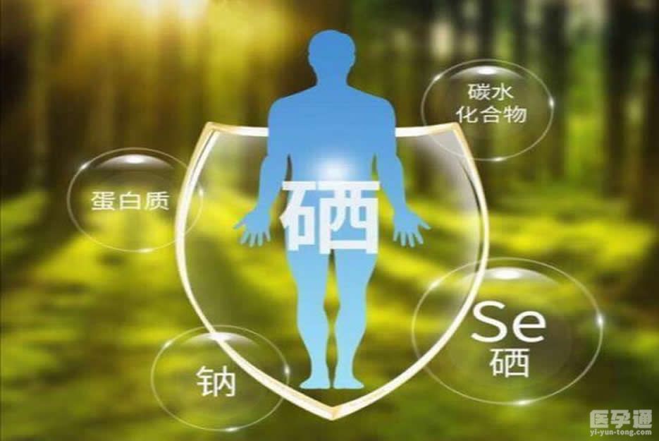 吃了补硒的食物(补硒会增加食欲吗)-硒宝网