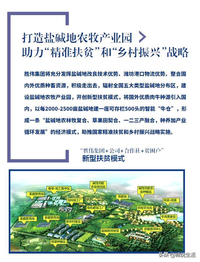 羊怎么补硒有效(给羊补硒)-硒宝网