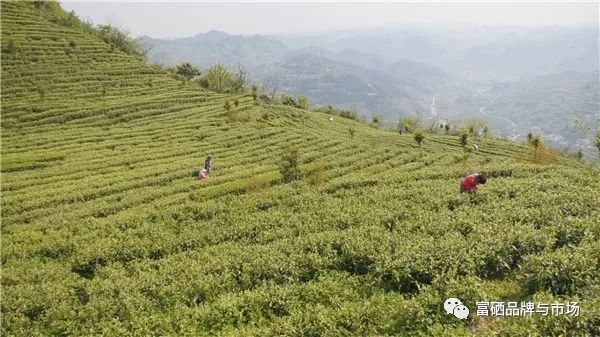 为人民补硒服务(如何补硒)-硒宝网