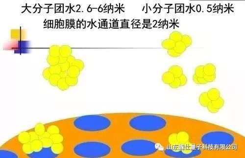 身体补硒呈碱性（碱性补品有用吗）-硒宝网