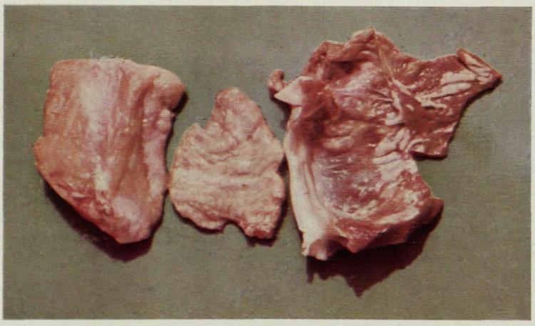 土地缺硒怎么补（土壤缺硒）-硒宝网