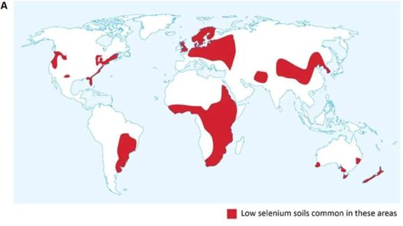 土地缺硒怎么补（土壤缺硒）-硒宝网