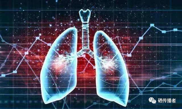 补硒对肺部作用（硒对肺部的作用）-硒宝网