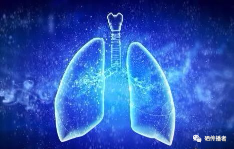 补硒对肺部作用（硒对肺部的作用）-硒宝网