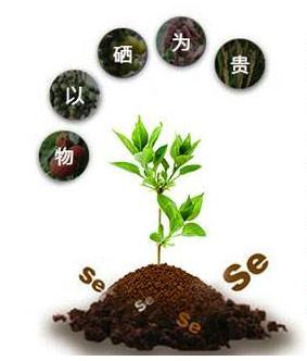 放疗需要补硒吗(放疗硒)-硒宝网