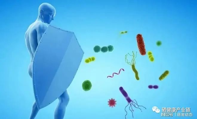 补硒可以抗癌吗（补硒能抑制癌细胞吗）-硒宝网