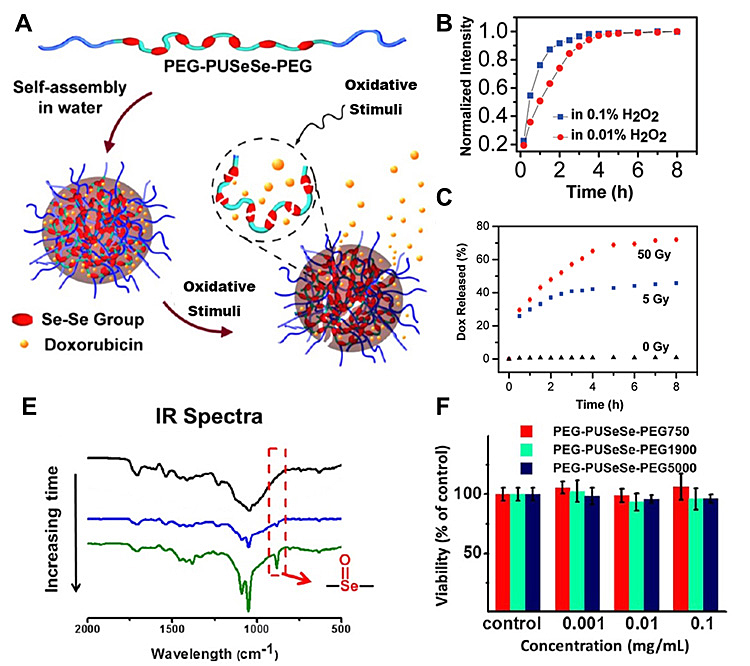 补硒的身体变化(补变化身体硒的药物)-硒宝网