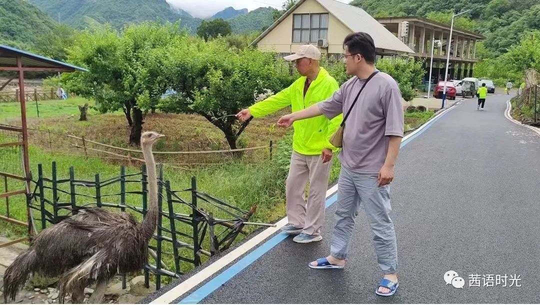 如何科学补石硒(科学补硒视频)-硒宝网