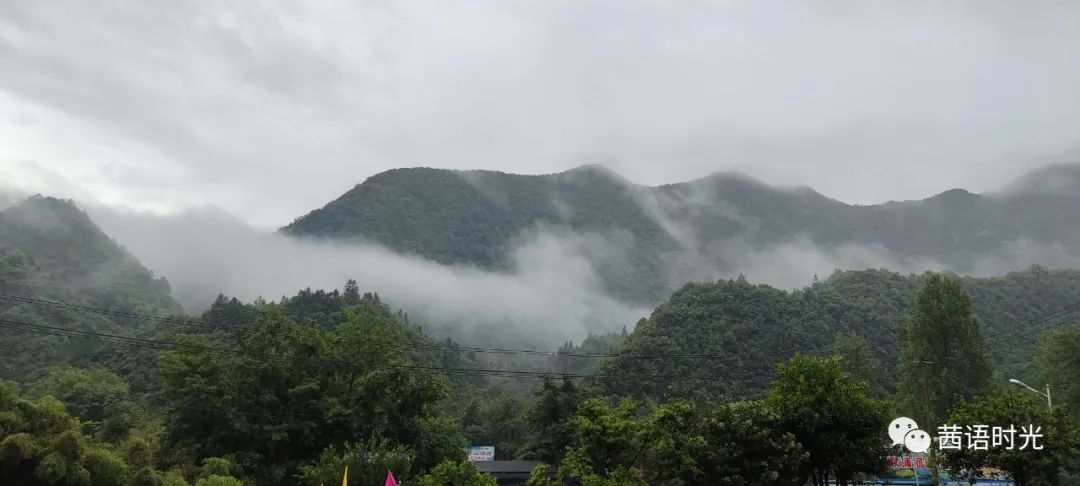 如何科学补石硒(科学补硒视频)-硒宝网