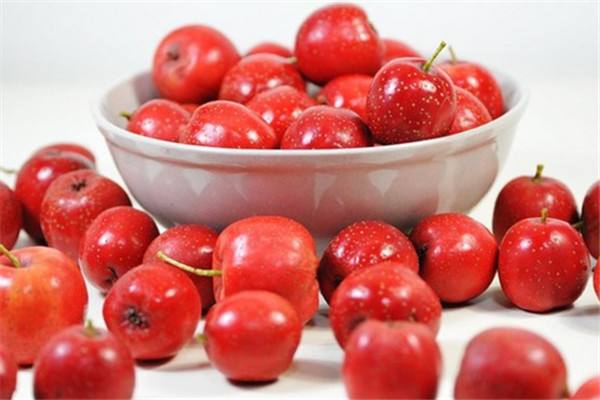 补钙吃啥食物补得快(食物补钙好)-硒宝网