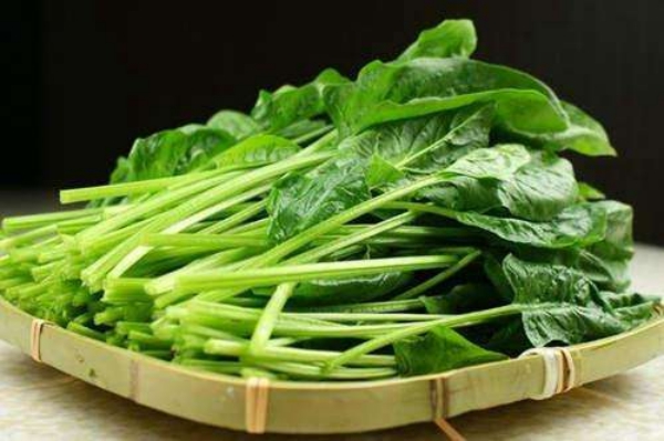 补钙吃啥食物补得快(食物补钙好)-硒宝网