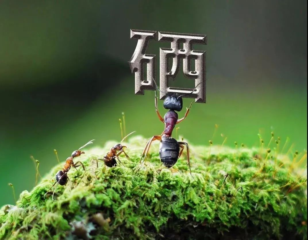 如何科学补石硒（科学补硒势在必行）-硒宝网