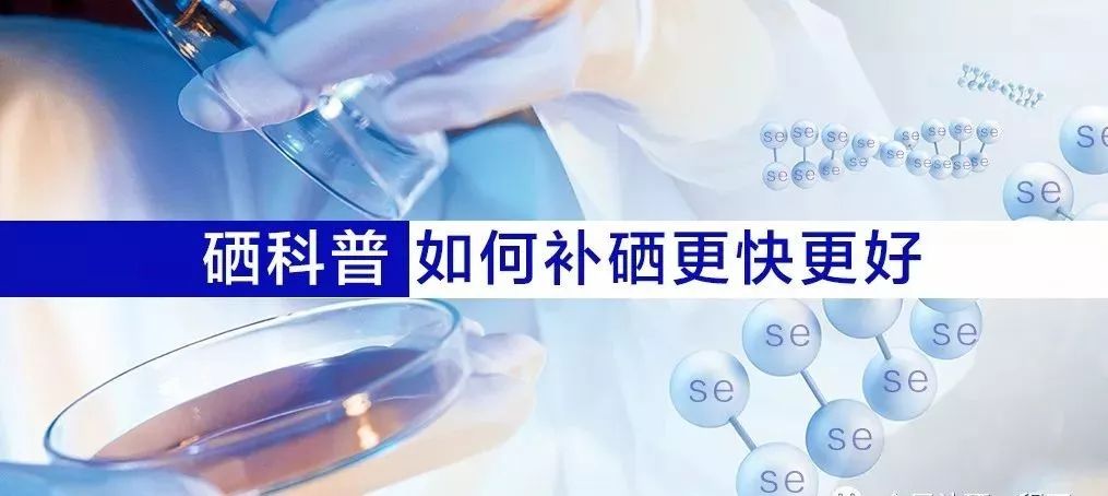 补硒哪种硒片好（补充硒片多少钱一盒）-硒宝网