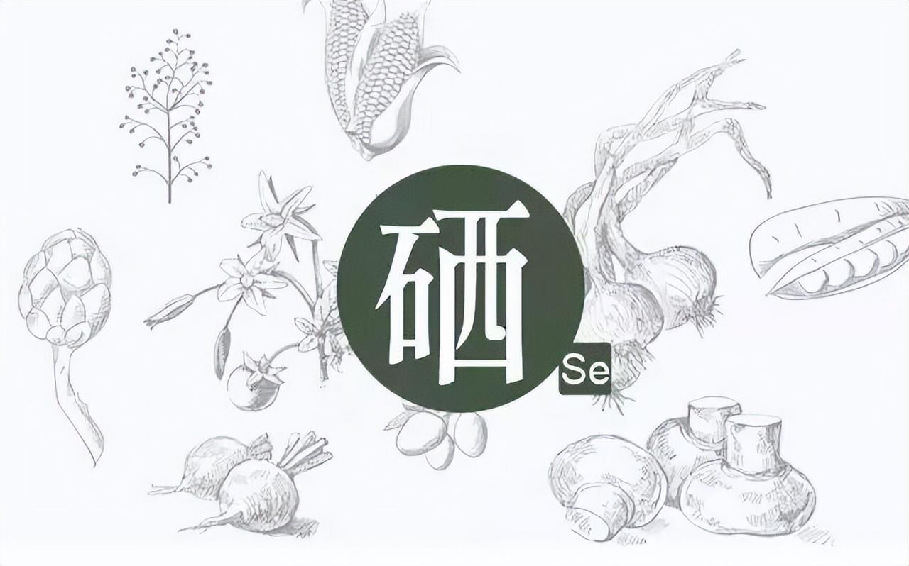 有关补硒的报道(补硒工程是传销吗)-硒宝网