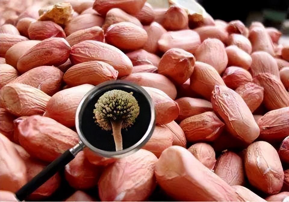 有关补硒的报道(补硒工程是传销吗)-硒宝网