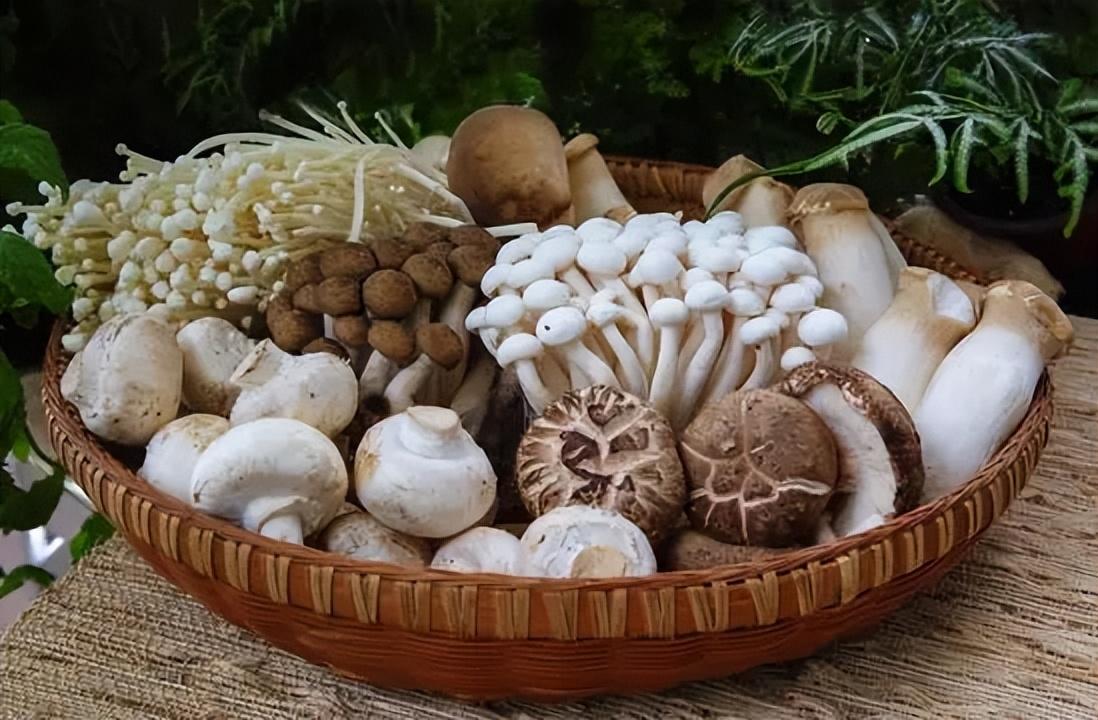 有关补硒的报道(补硒工程是传销吗)-硒宝网