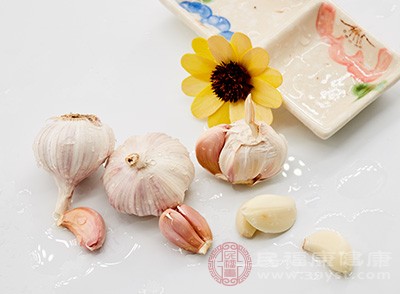 高含量补硒产品（含硒补充剂）-硒宝网